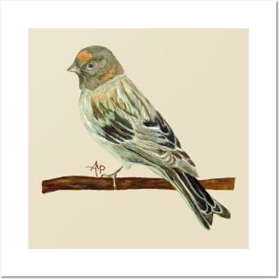 Red-Fronted Serin Posters and Art